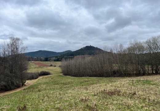 24-03-01 11-44-58 8863